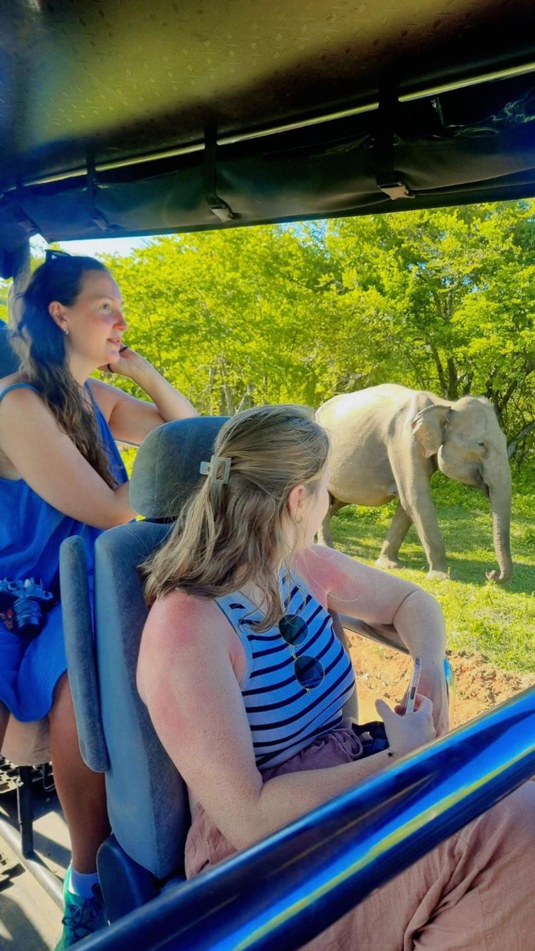 White Rose Safari Home Stay 达瓦拉维 外观 照片