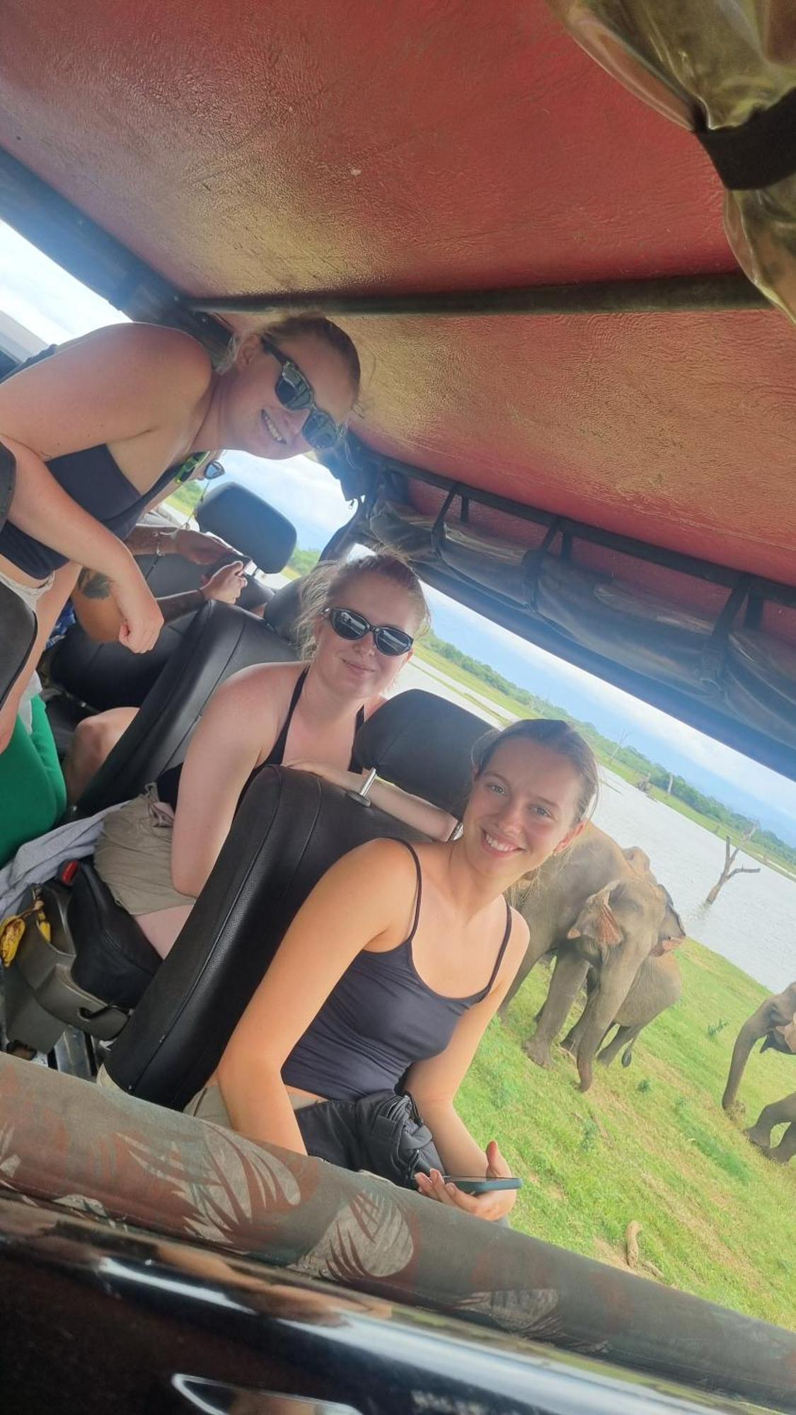 White Rose Safari Home Stay 达瓦拉维 外观 照片