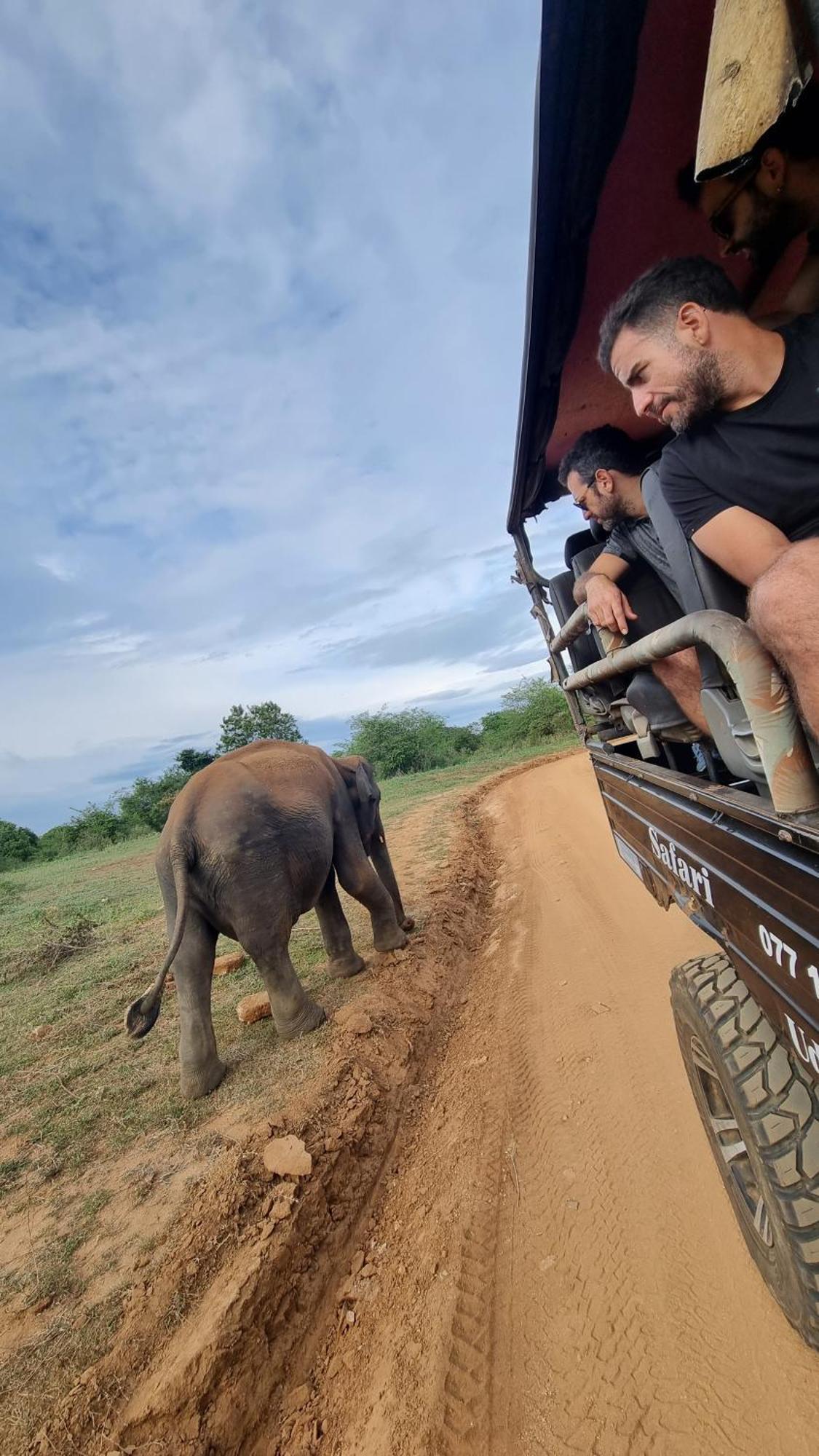 White Rose Safari Home Stay 达瓦拉维 外观 照片