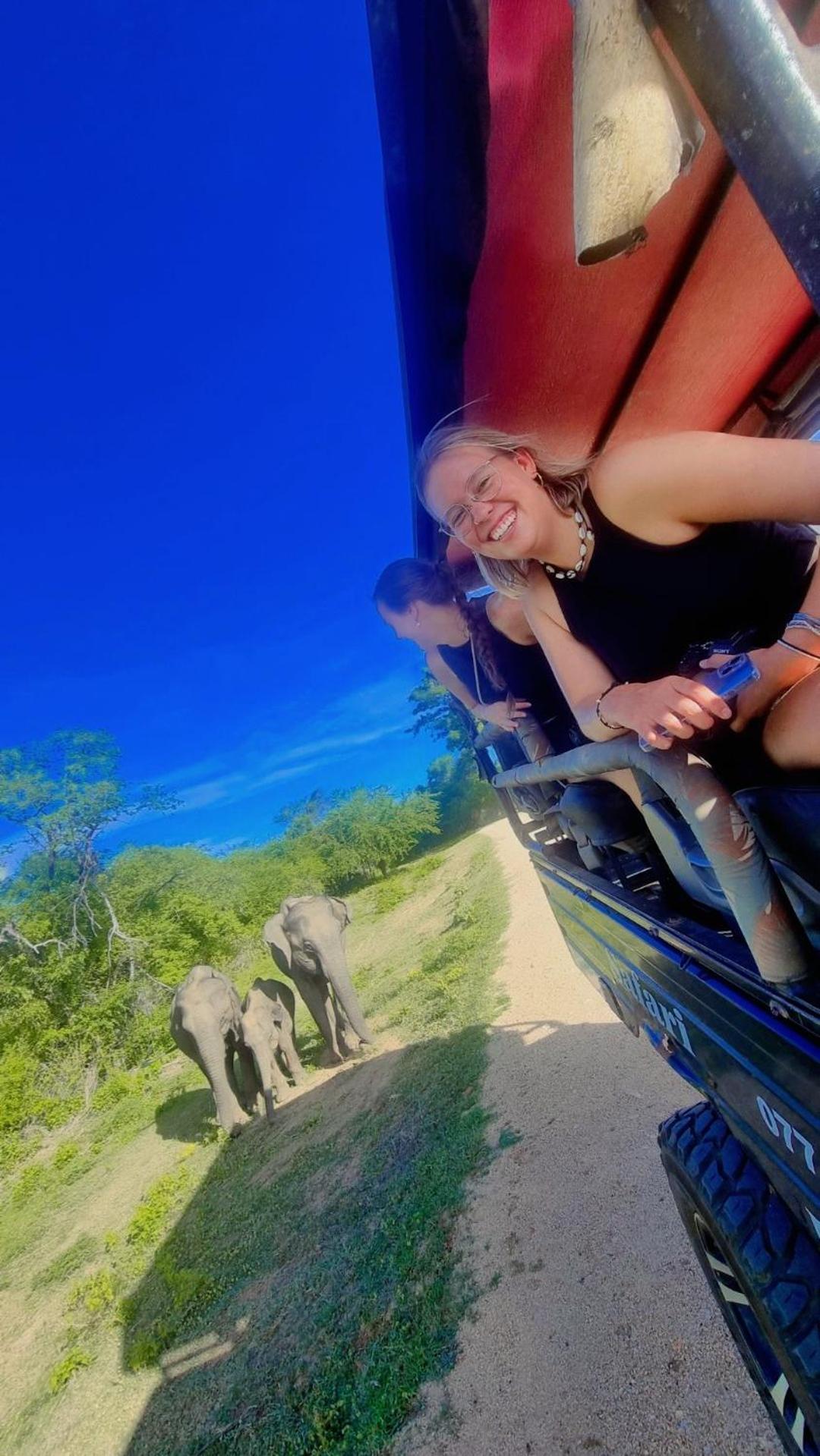 White Rose Safari Home Stay 达瓦拉维 外观 照片